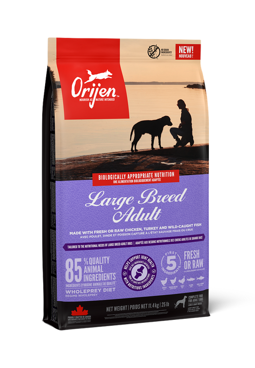 Large Breed Adult Recipe